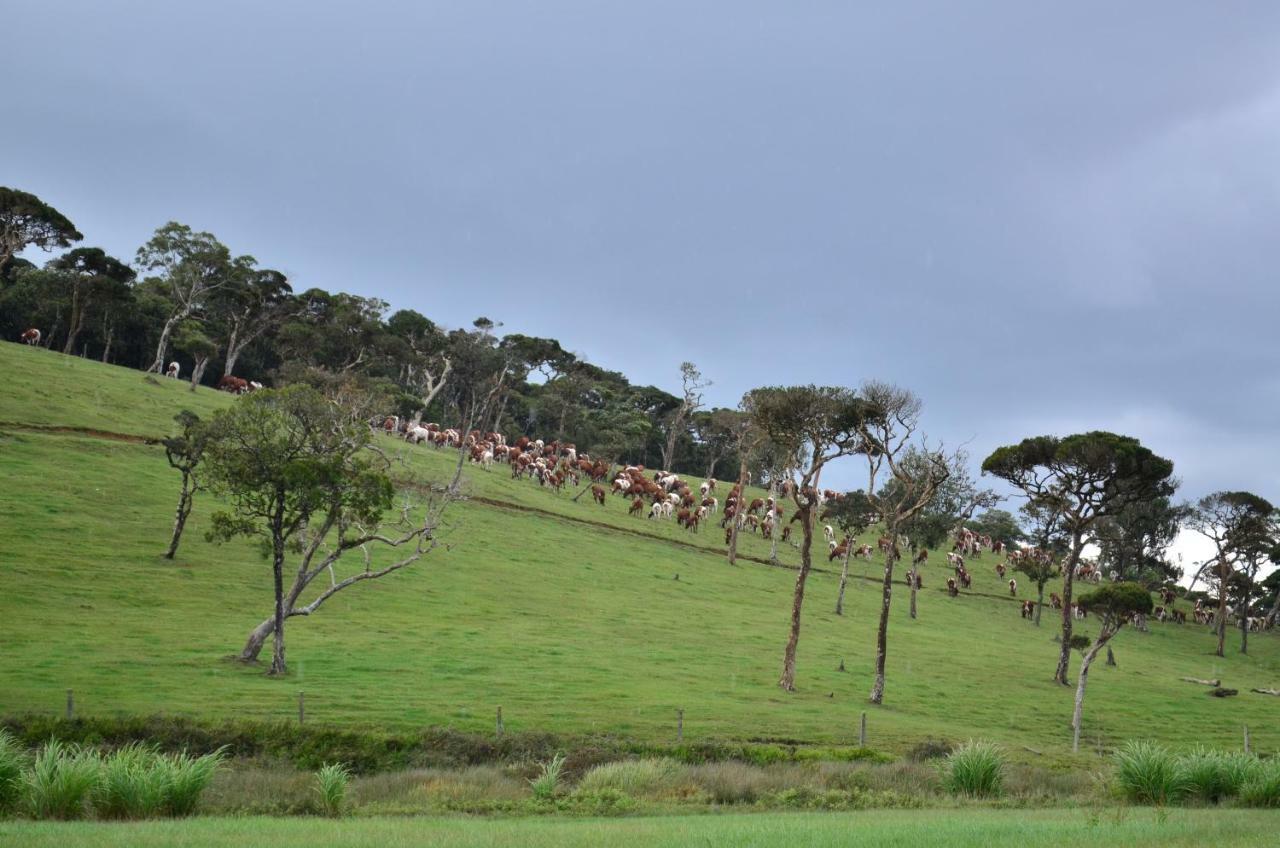 Yensfield Blackpool Nuwara Eliya Exterior foto