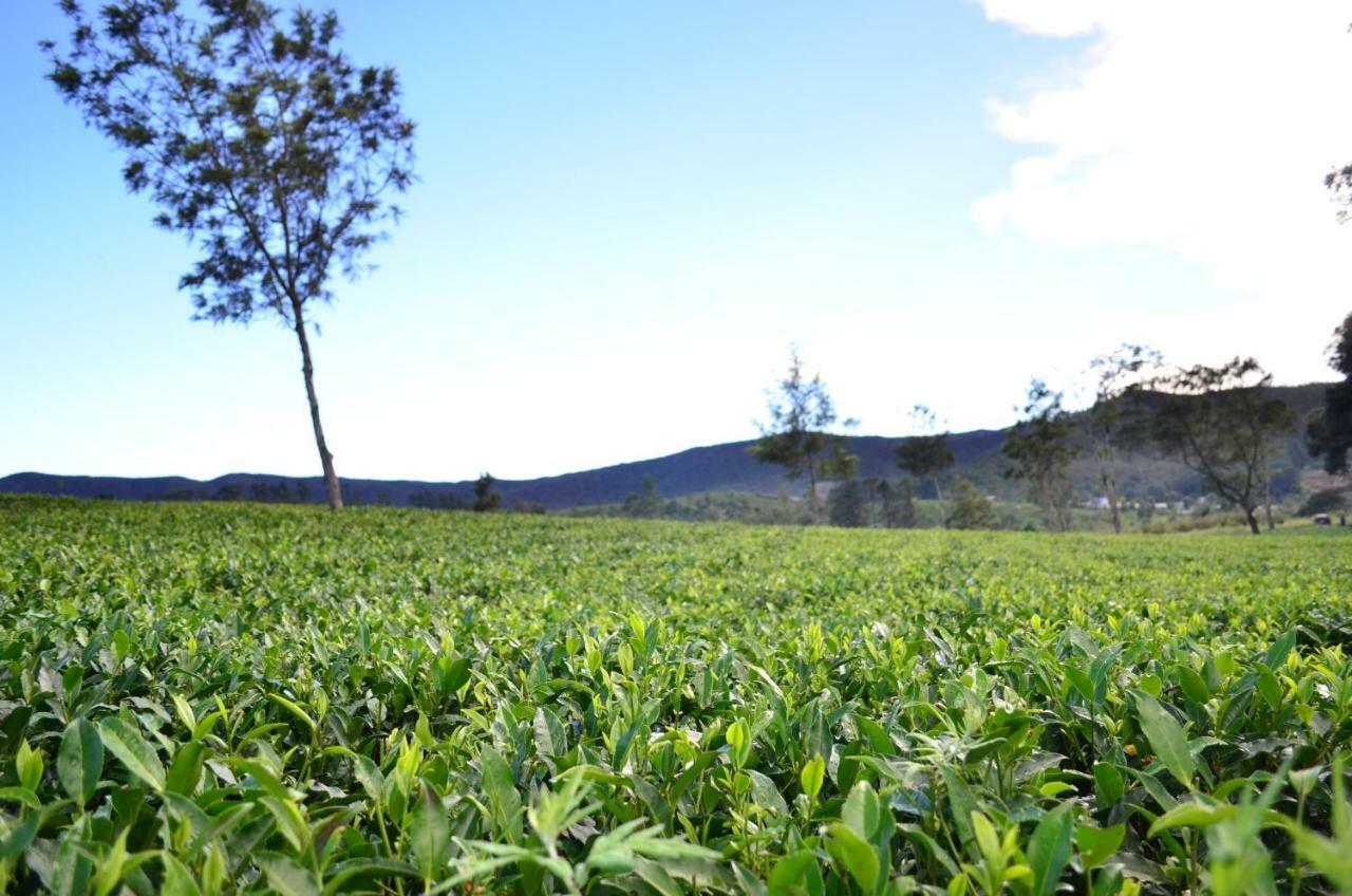 Yensfield Blackpool Nuwara Eliya Exterior foto